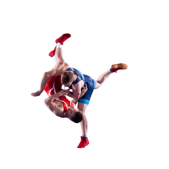 关于世界杯比分